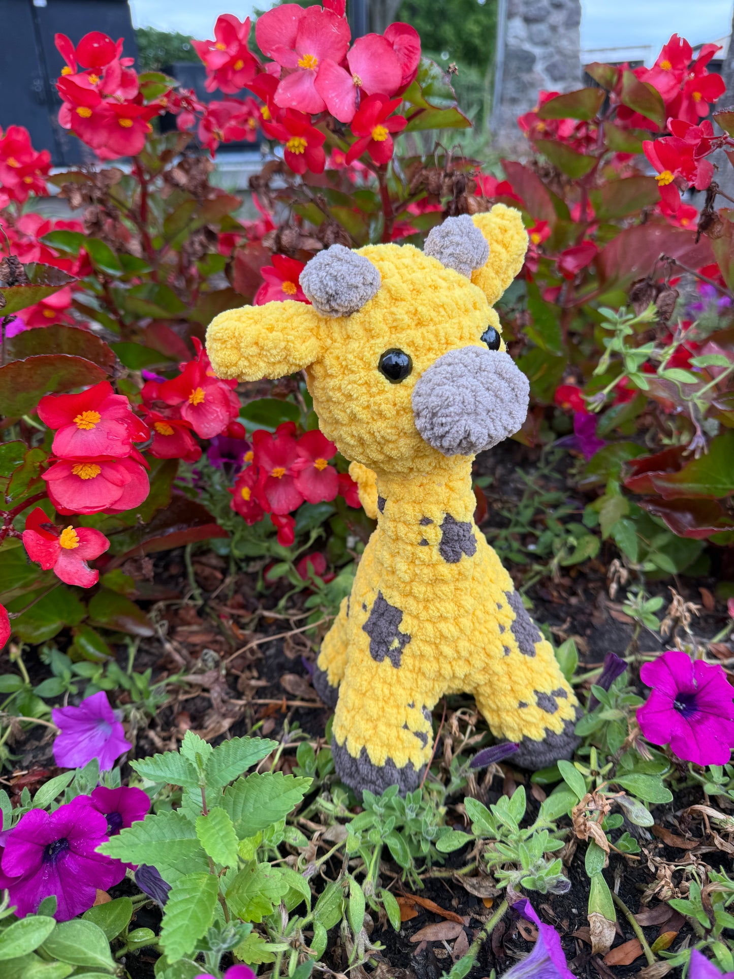Giraffe