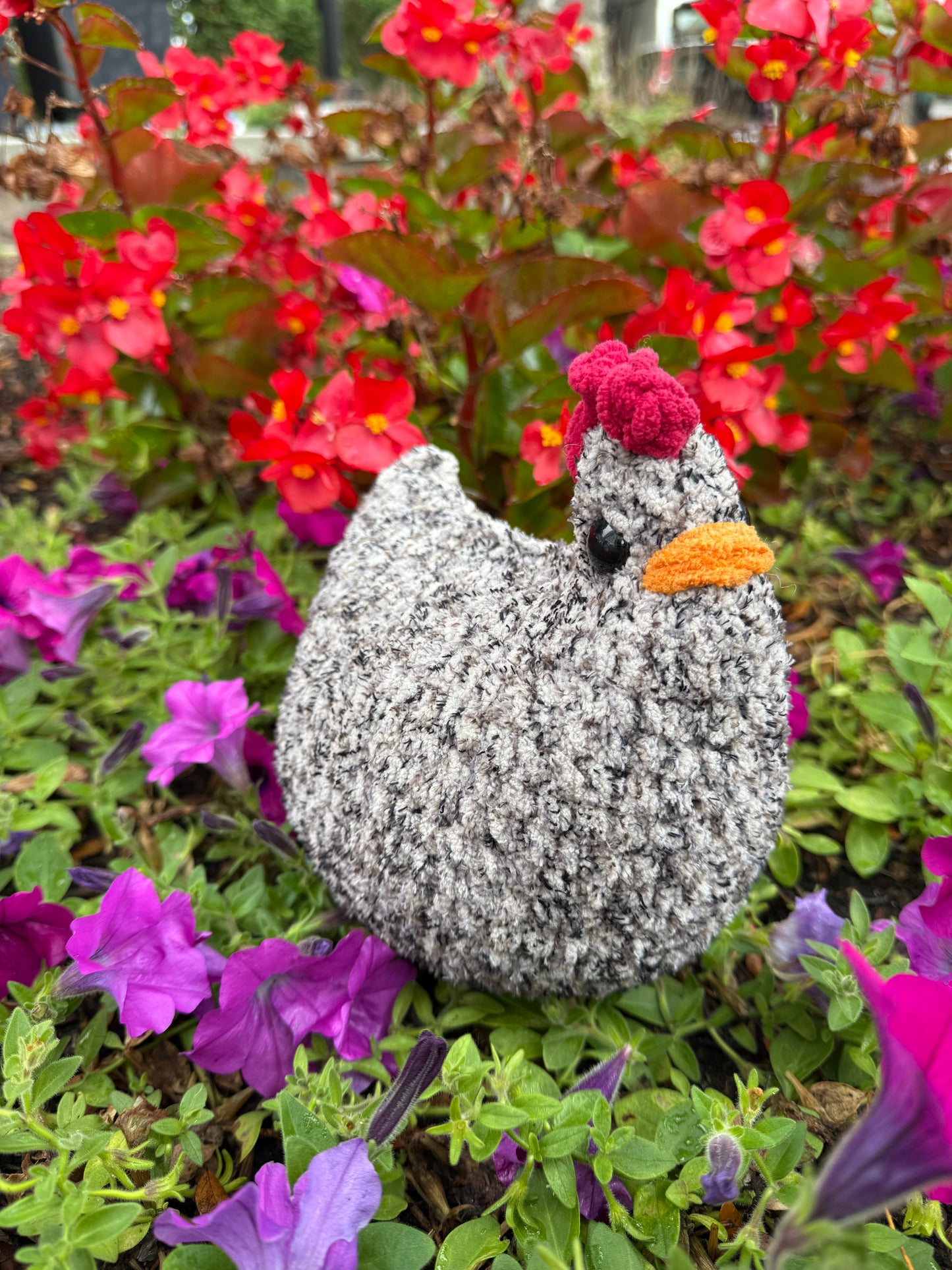 Chickens