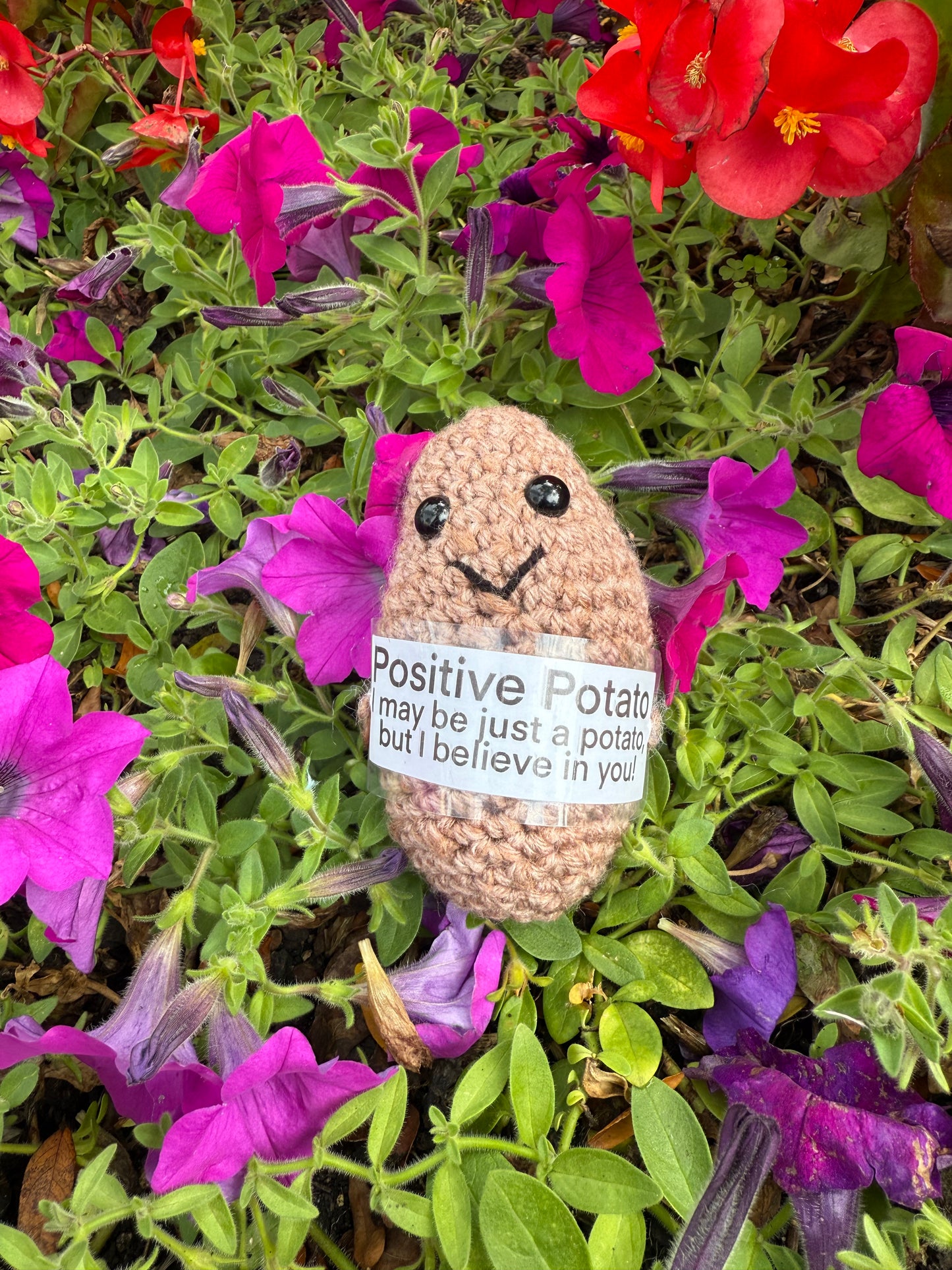 Positive Potato