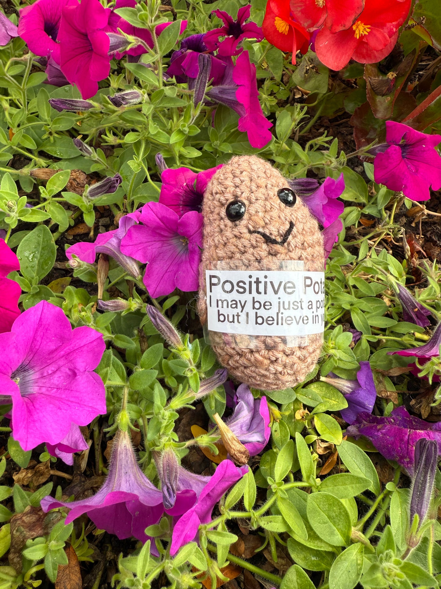 Positive Potato