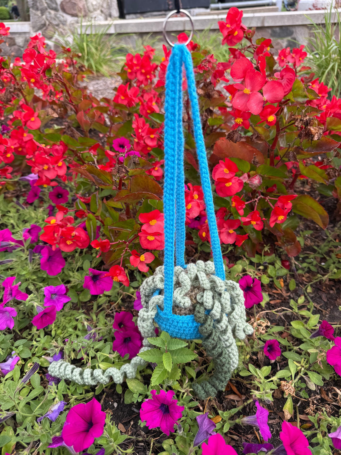 Hanging plant