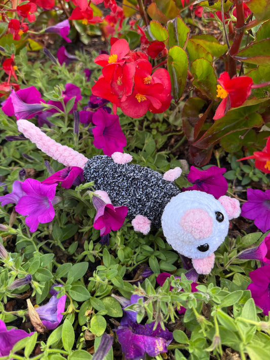 Opossum