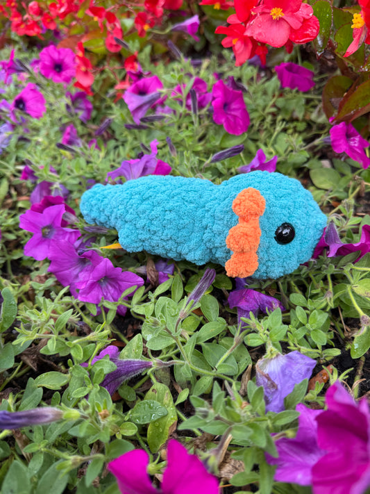 Axolotl