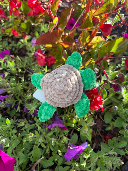 Turtle