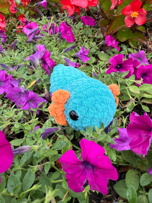 Axolotl