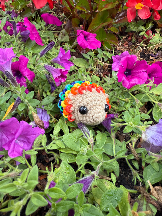 Hedgehog