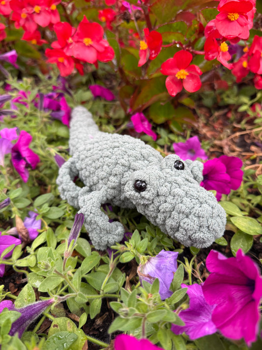 Alligator
