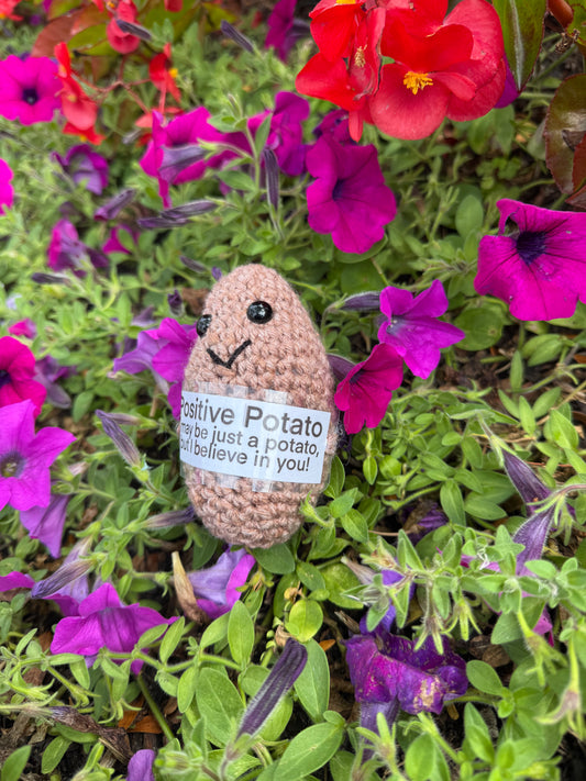 Positive Potato