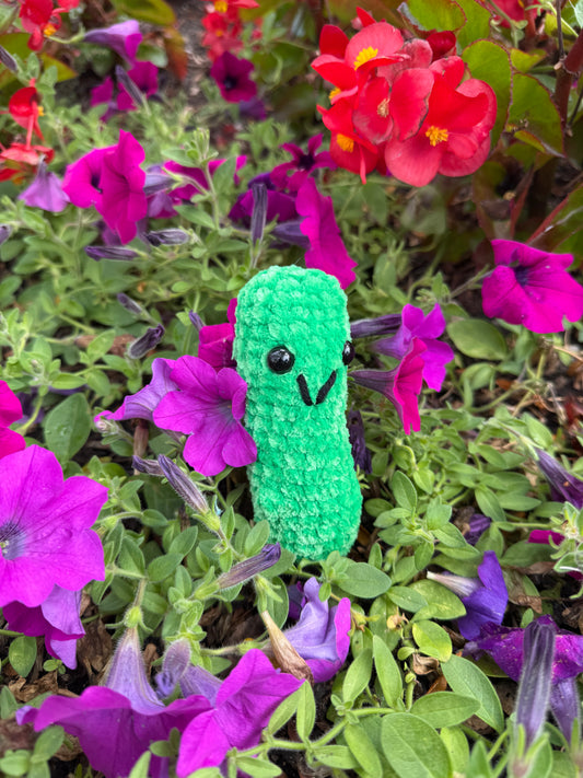 Dill Pickle
