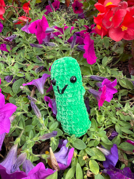 Dill Pickle
